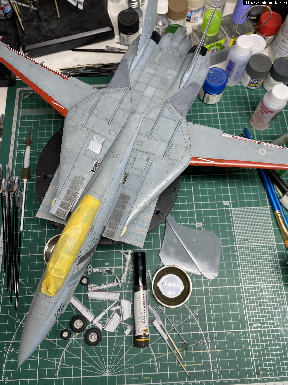 #1679585/ F-14D Super Tomcat 1/48 AMK .  