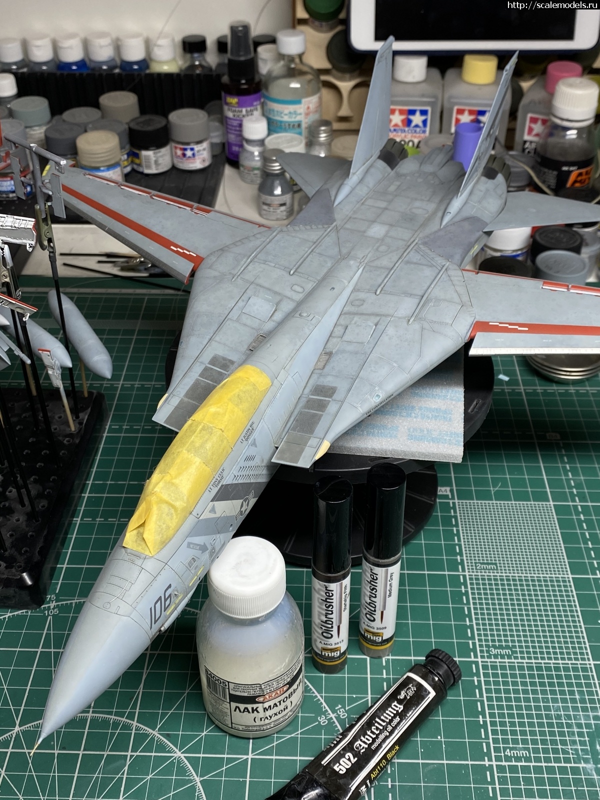 #1680177/ F-14D Super Tomcat 1/48 AMK .  