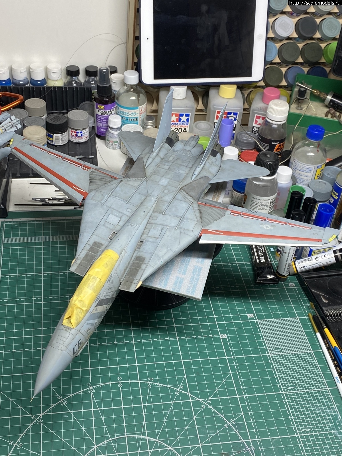 #1680177/ F-14D Super Tomcat 1/48 AMK .  