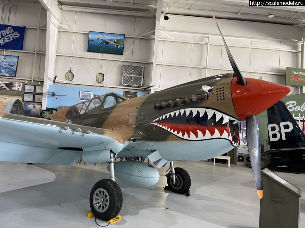 Walk around P-40 Warhawk  