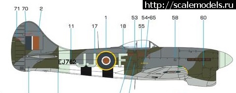#1685252/ Hawker Tempest Mk.V 1/32 Special Hobby.   