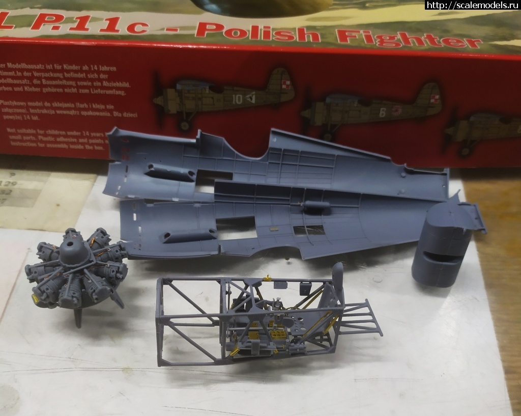 #1689592/ PZL P.11c 1/32 IBG models  