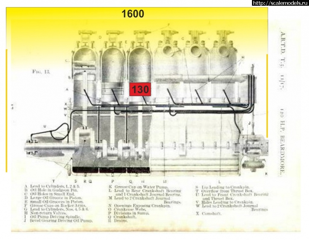 #1691556/ White & Thompson type 3 (RNAS-1199 / MLD-MG1)  