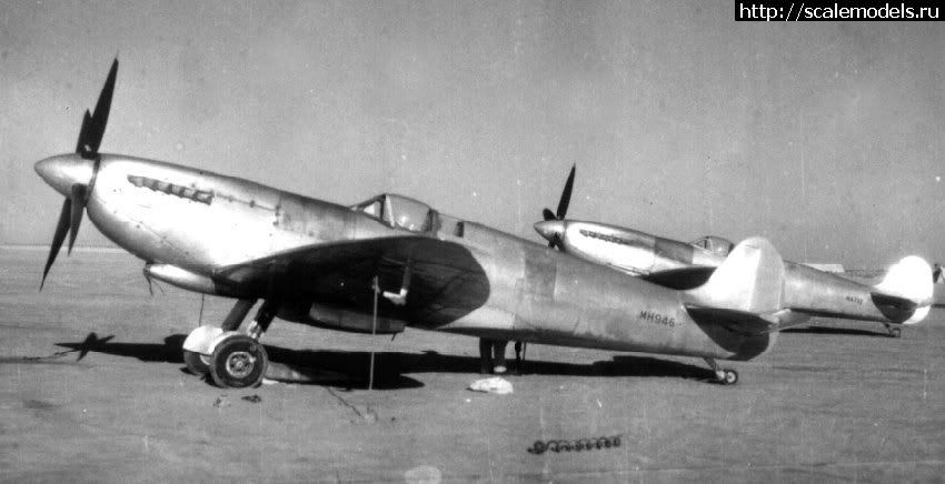 #1694090/ Eduard 1/48 Spitfire Mk.VIII + Airfi...(#15099) -   