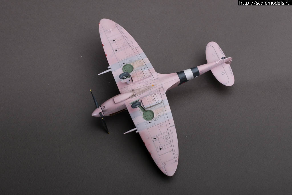 #1720684/ Spitfire FR Mk.IXC 1/72 Hasegawa   