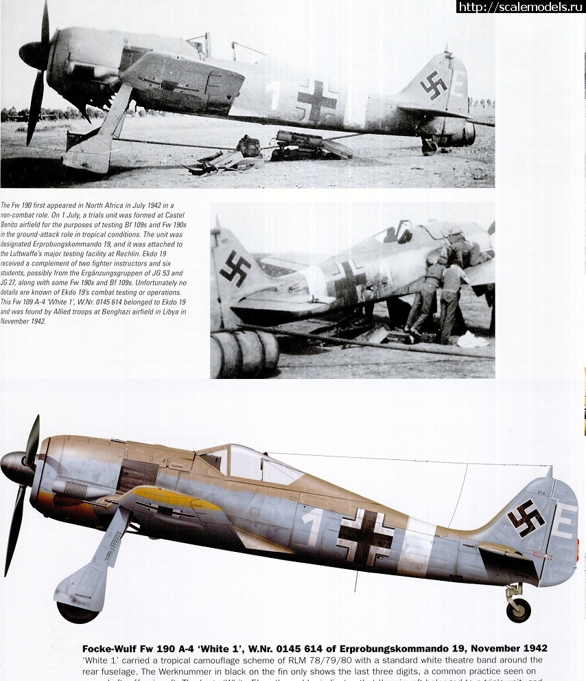 Fw-190A-4/Trop 1/48 Eduard    