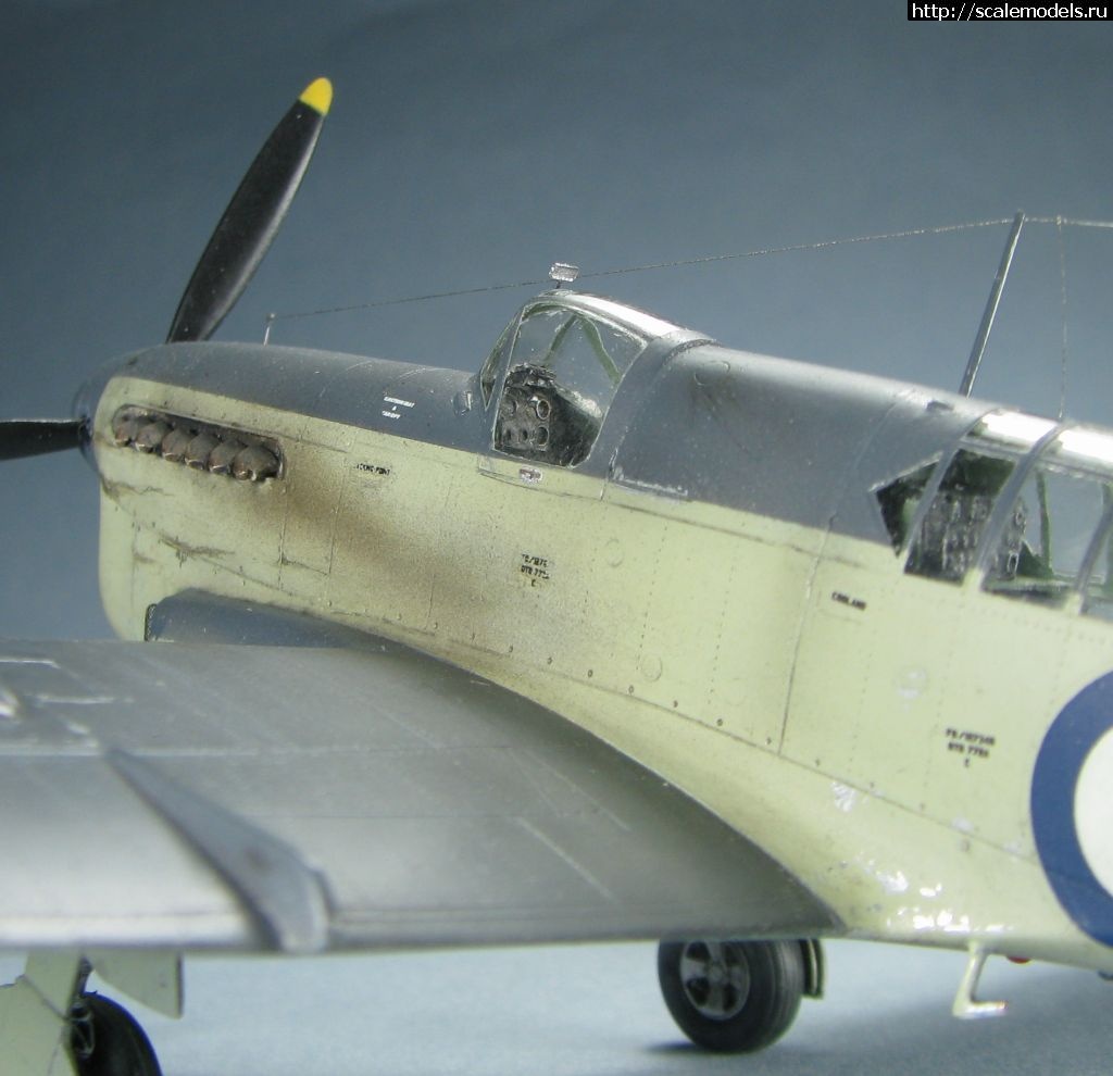 #1723871/ Special hobby Fairey Firefly FR.I   1:72-  