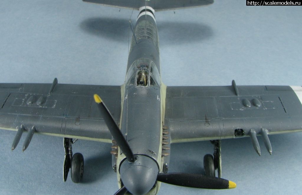 #1723871/ Special hobby Fairey Firefly FR.I   1:72-  