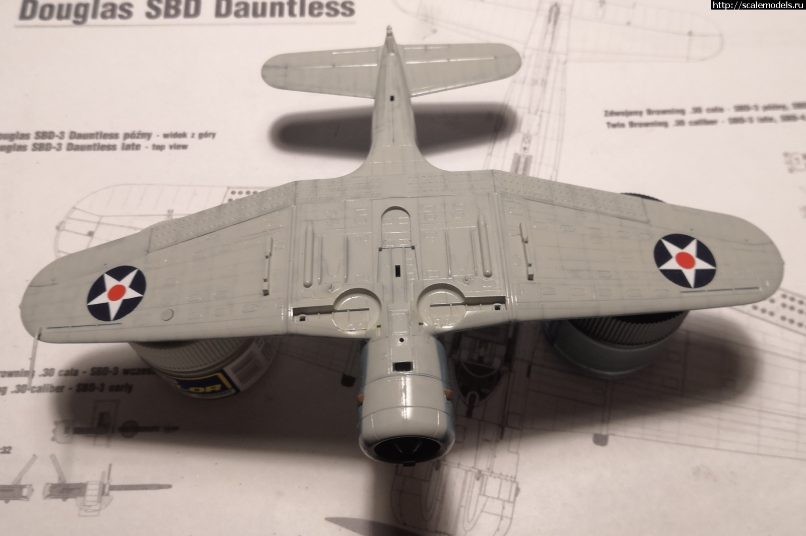 #1728719/ SBD-3 Dauntless hasegawa 1/72 .  