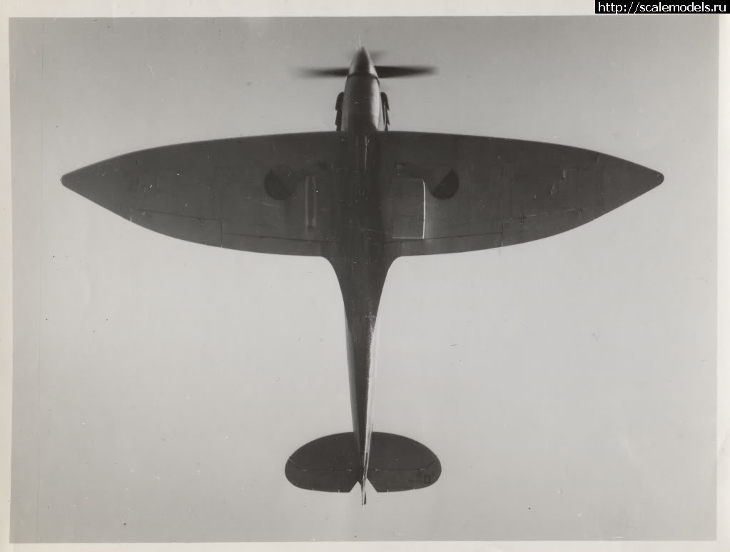 #1731426/ Eduard 1/72 Spitfire Mk.VIII(#15557) -   
