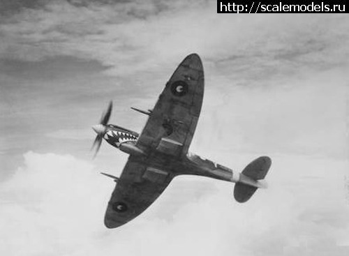 #1731435/ Eduard 1/72 Spitfire Mk.VIII(#15557) -   