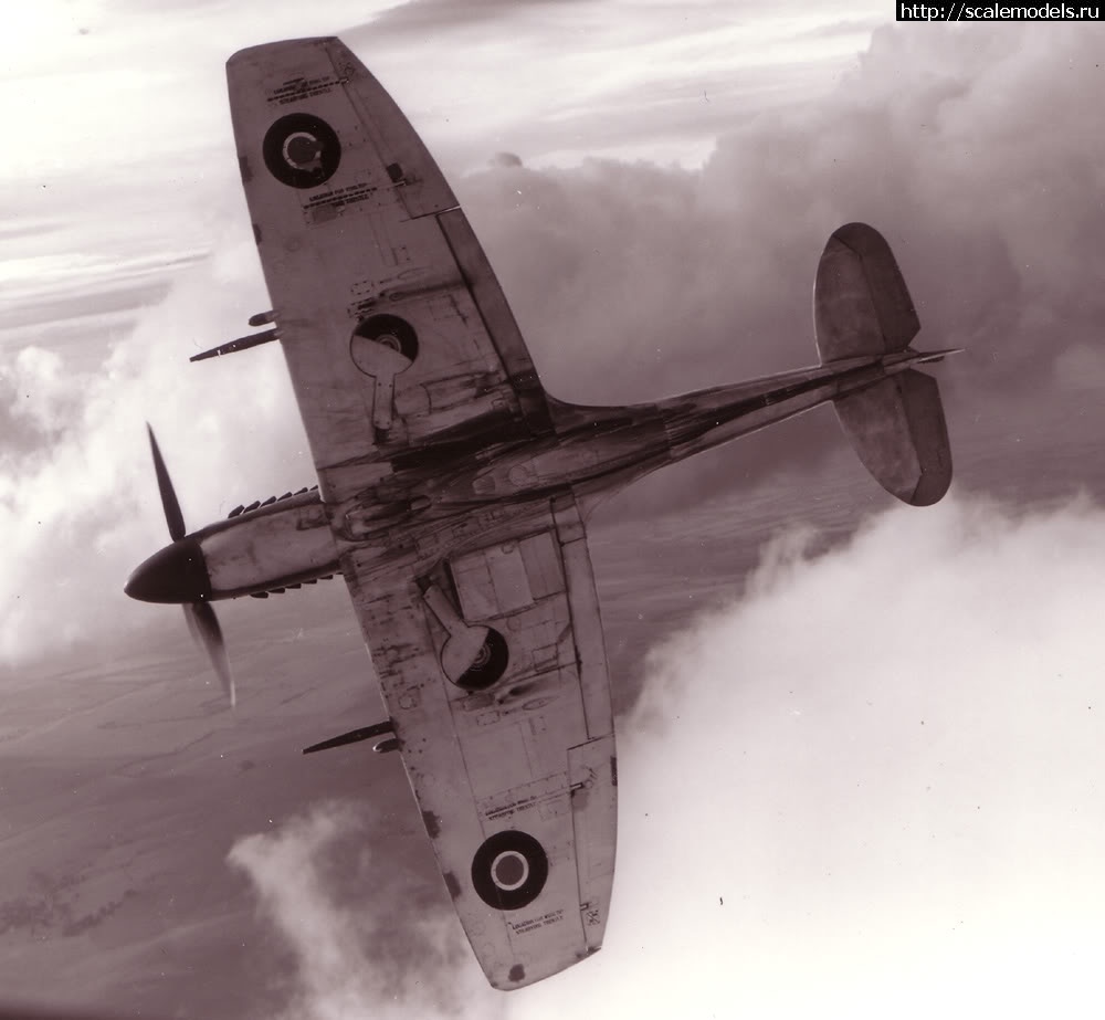 #1731435/ Eduard 1/72 Spitfire Mk.VIII(#15557) -   