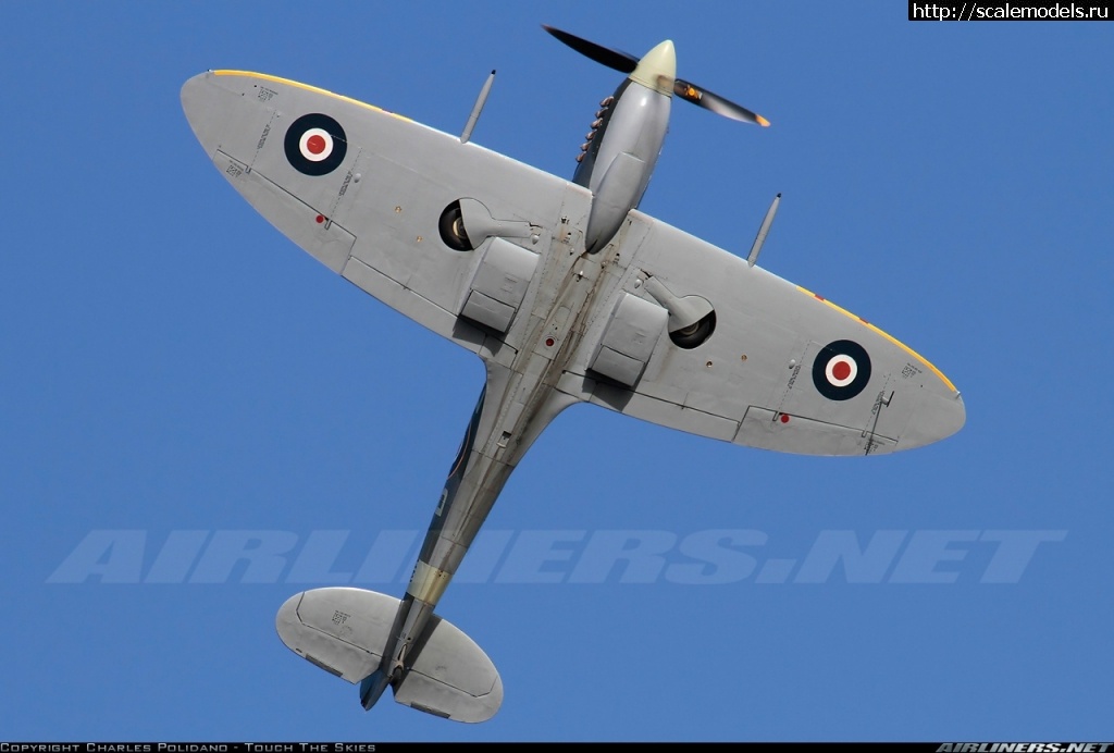 Eduard 1/72 Spitfire Mk.VIII/ Eduard 1/72 Spitfire Mk.VIII(#15557) -   