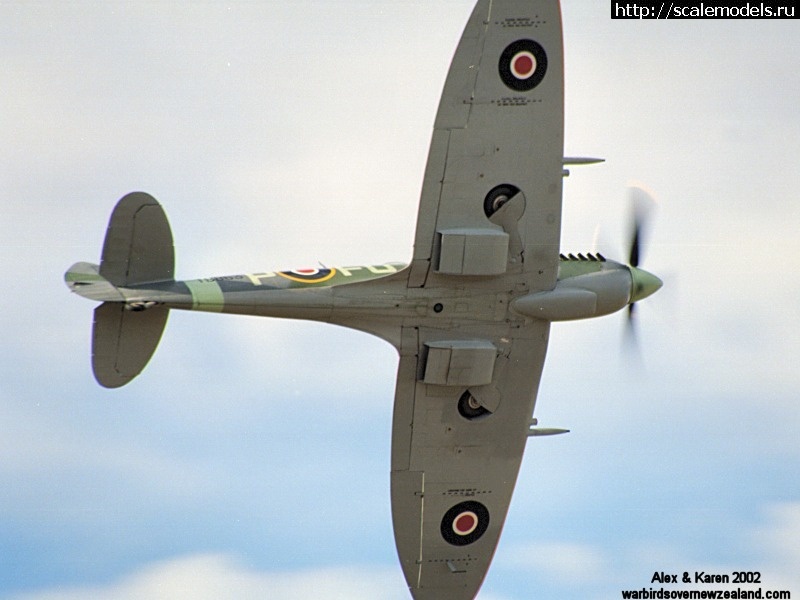 Eduard 1/72 Spitfire Mk.VIII/ Eduard 1/72 Spitfire Mk.VIII(#15557) -   