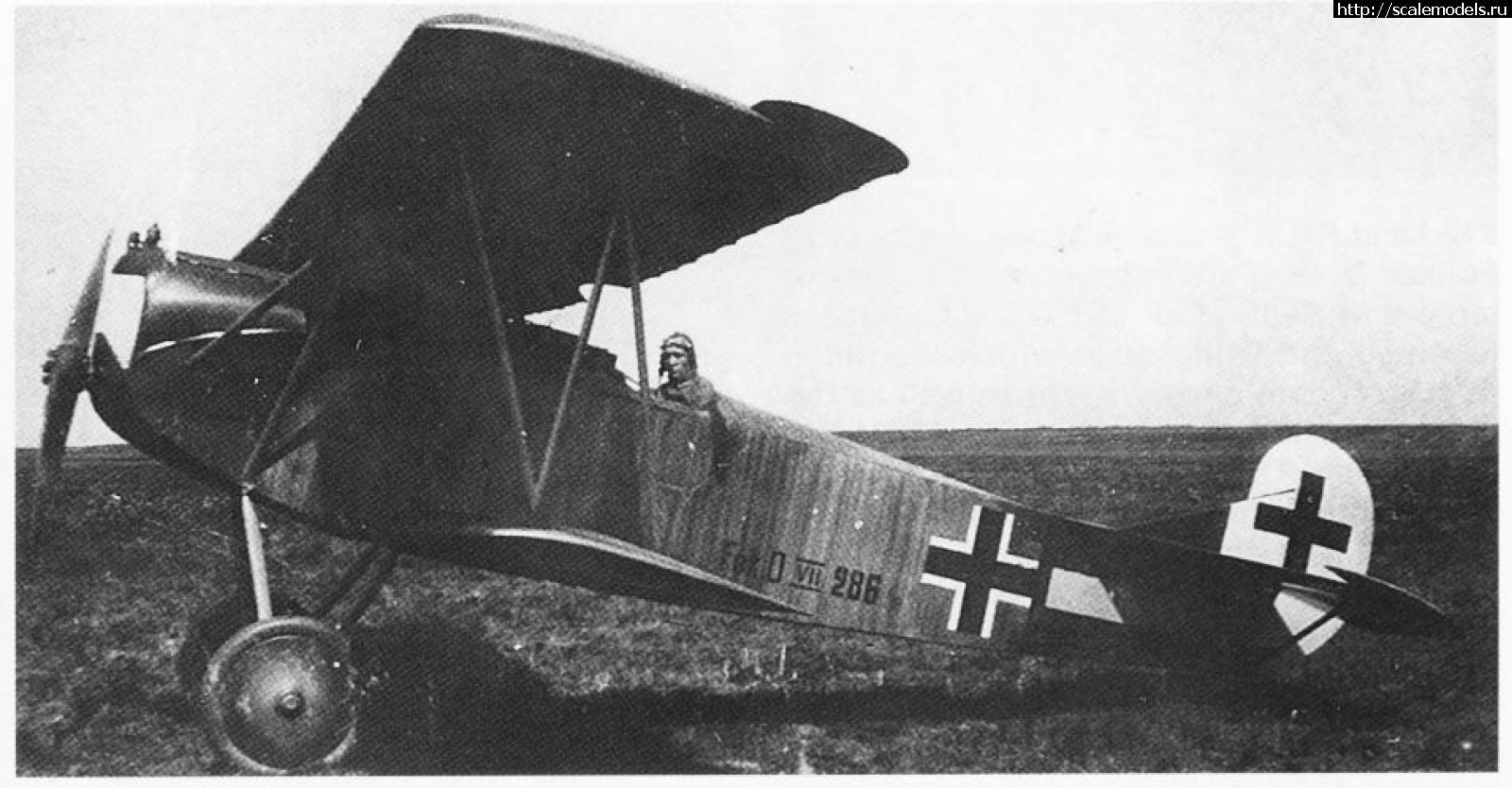 Fokker D.VII (Eduard 1:72) !  