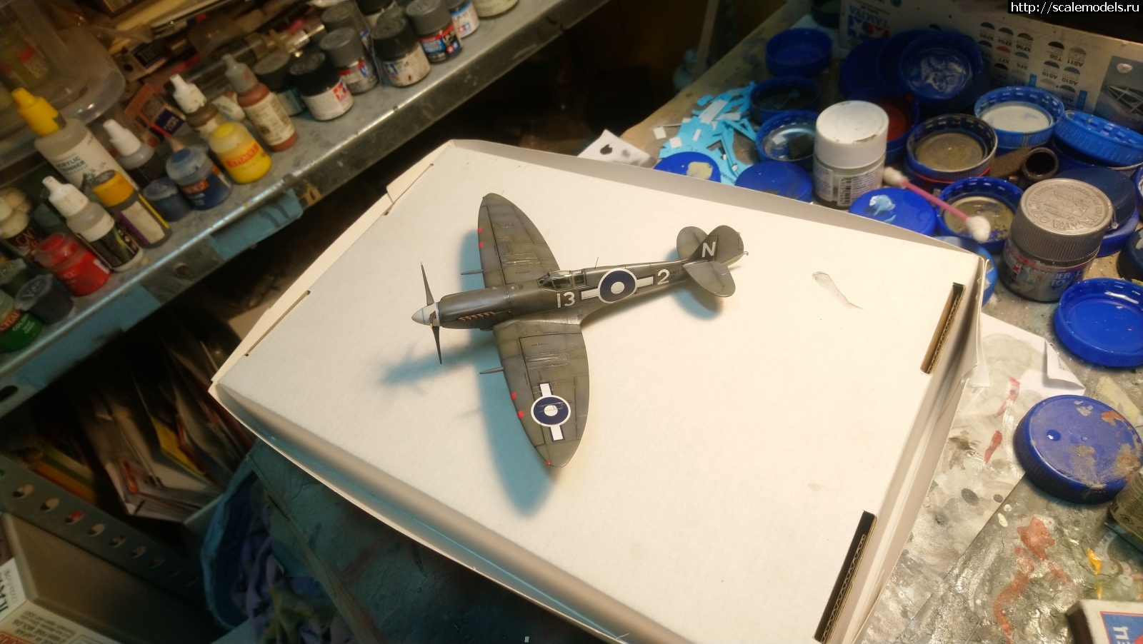 #1734060/ Seafire Mk.XV late Sword 1/72   