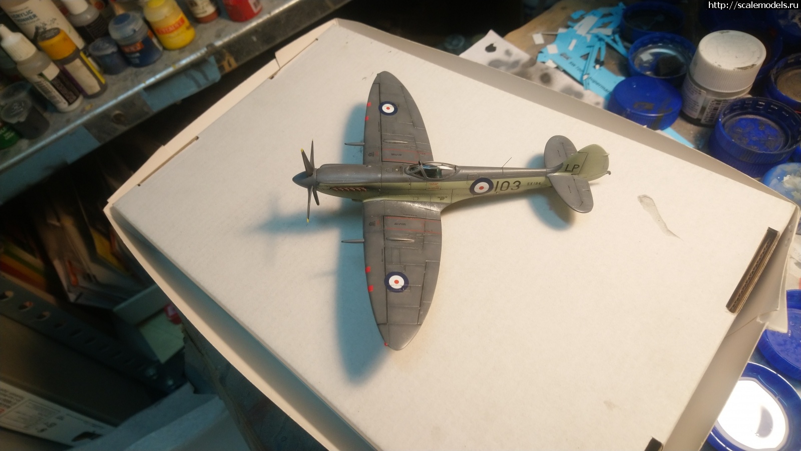 #1734061/ Seafire Mk.17 Sword 1/72   