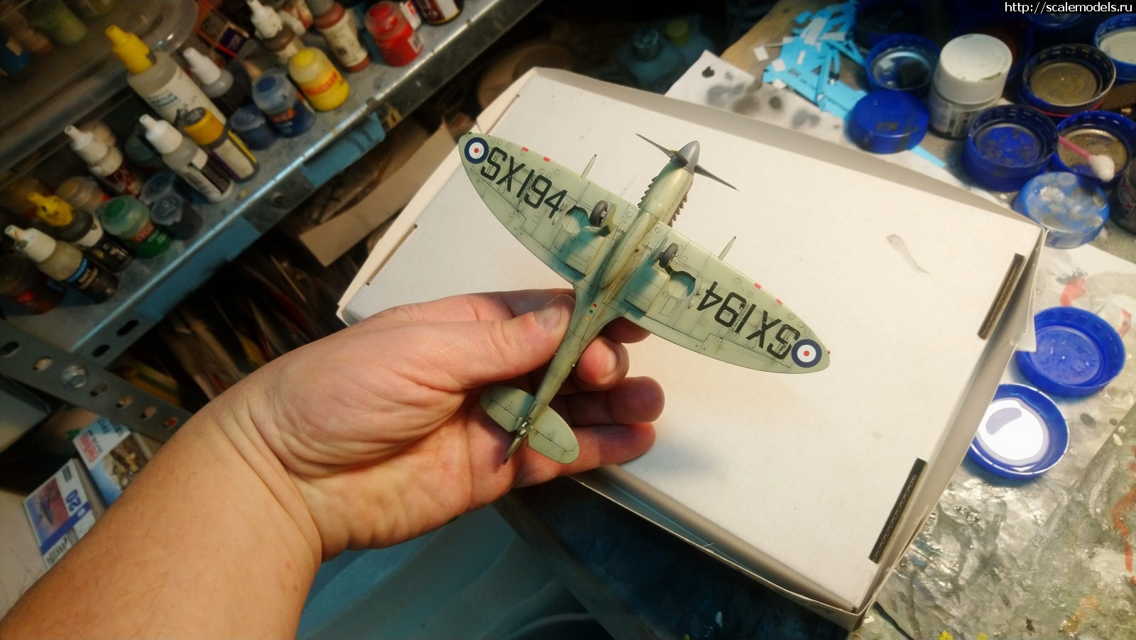 #1734061/ Seafire Mk.17 Sword 1/72   