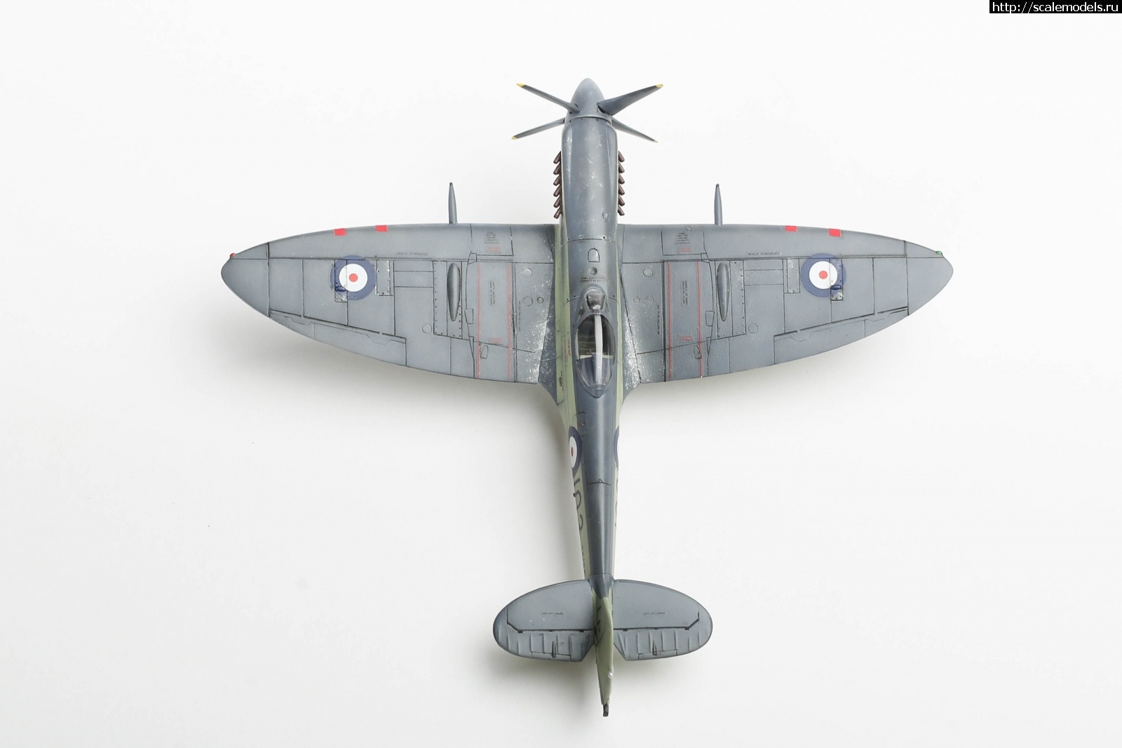 #1737017/ Seafire Mk.17 Sword 1/72   