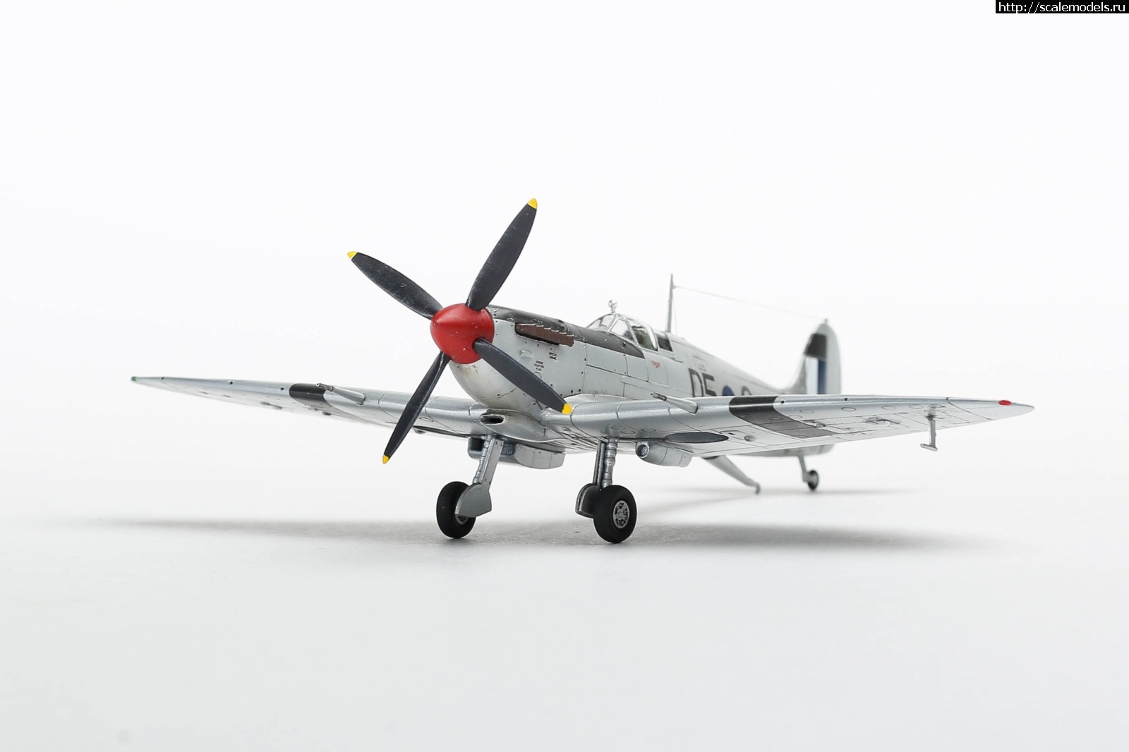 #1737055/ Seafire Mk.III Sword 1/72   