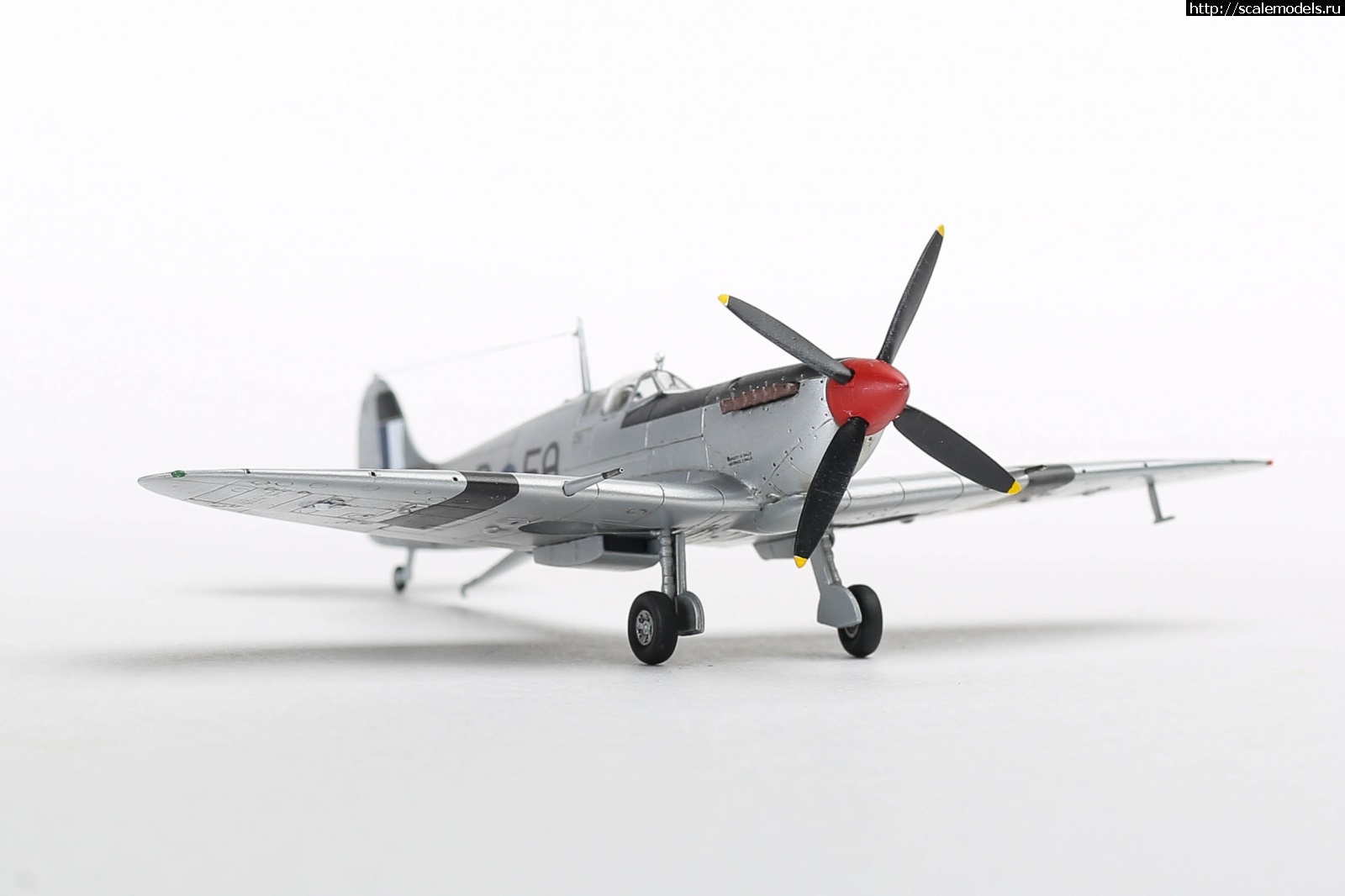 #1737055/ Seafire Mk.III Sword 1/72   