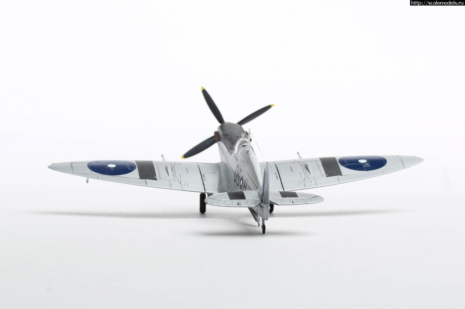 #1737055/ Seafire Mk.III Sword 1/72   