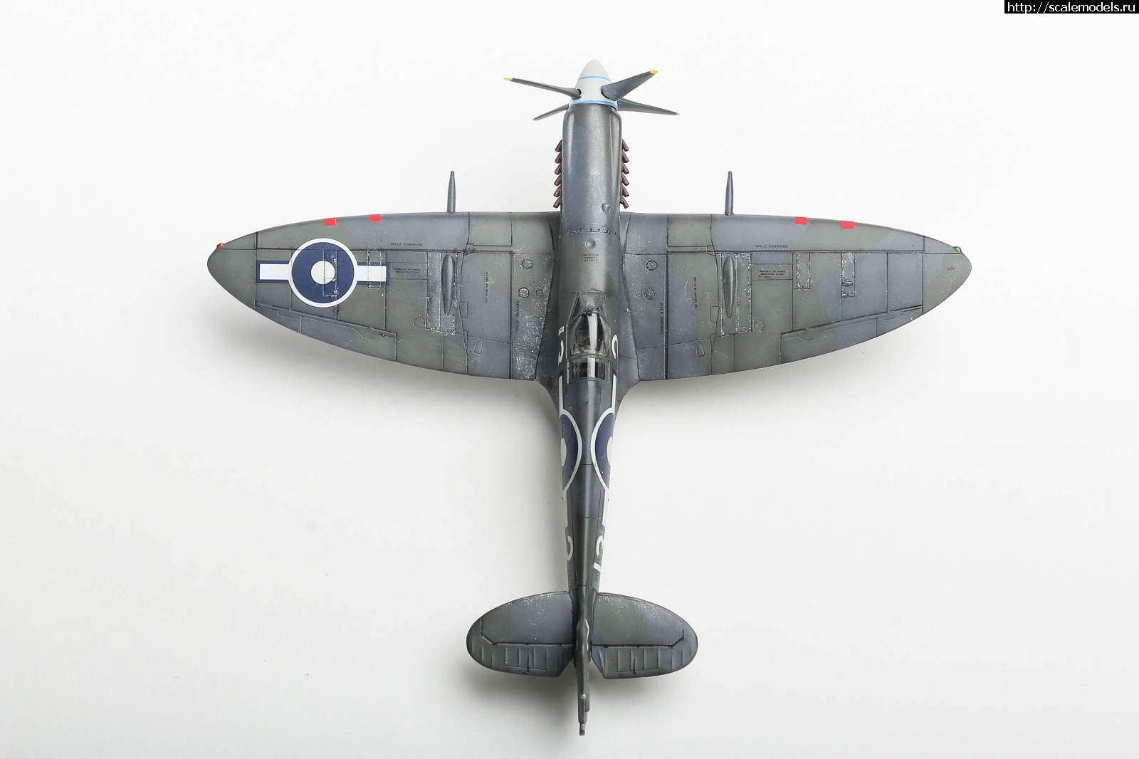 #1737056/ Seafire Mk.XV late Sword 1/72   