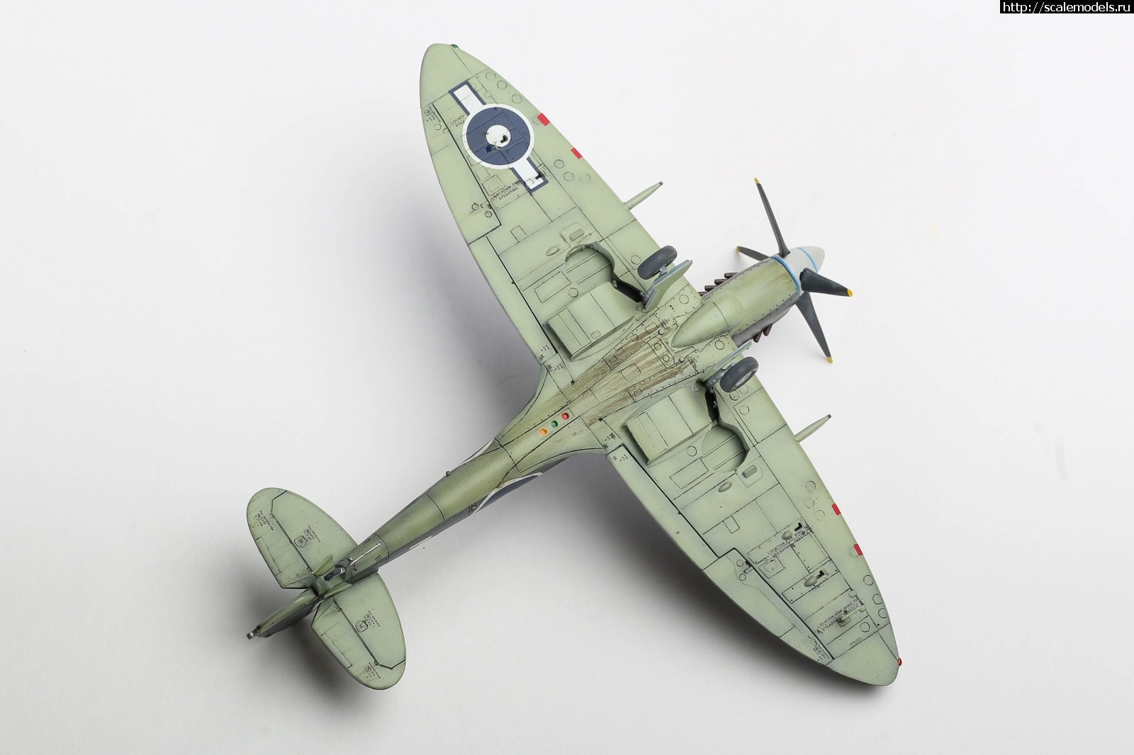 #1737056/ Seafire Mk.XV late Sword 1/72   