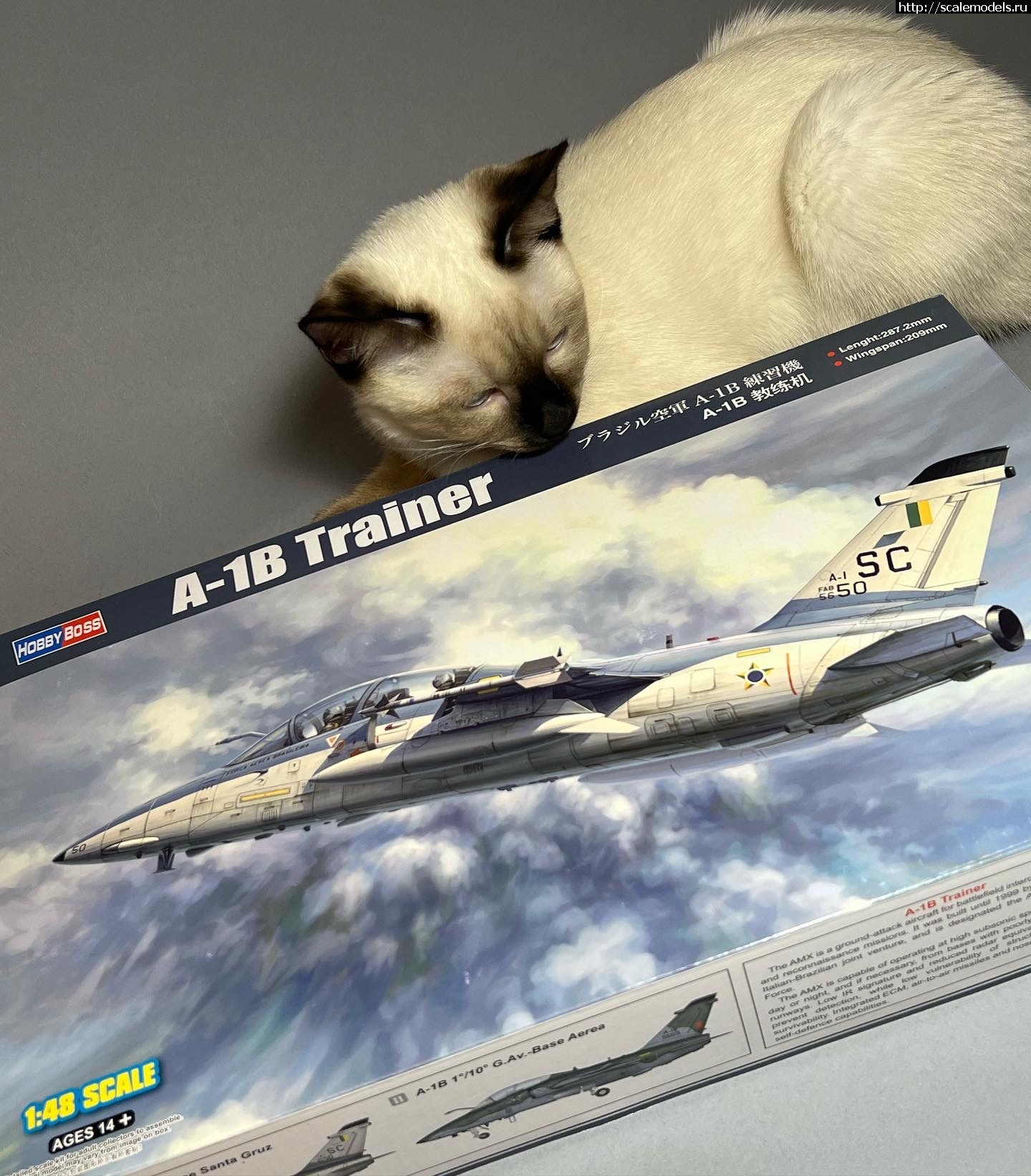 Embraer A-1B Trainer 1/48 Hobby Boss.  