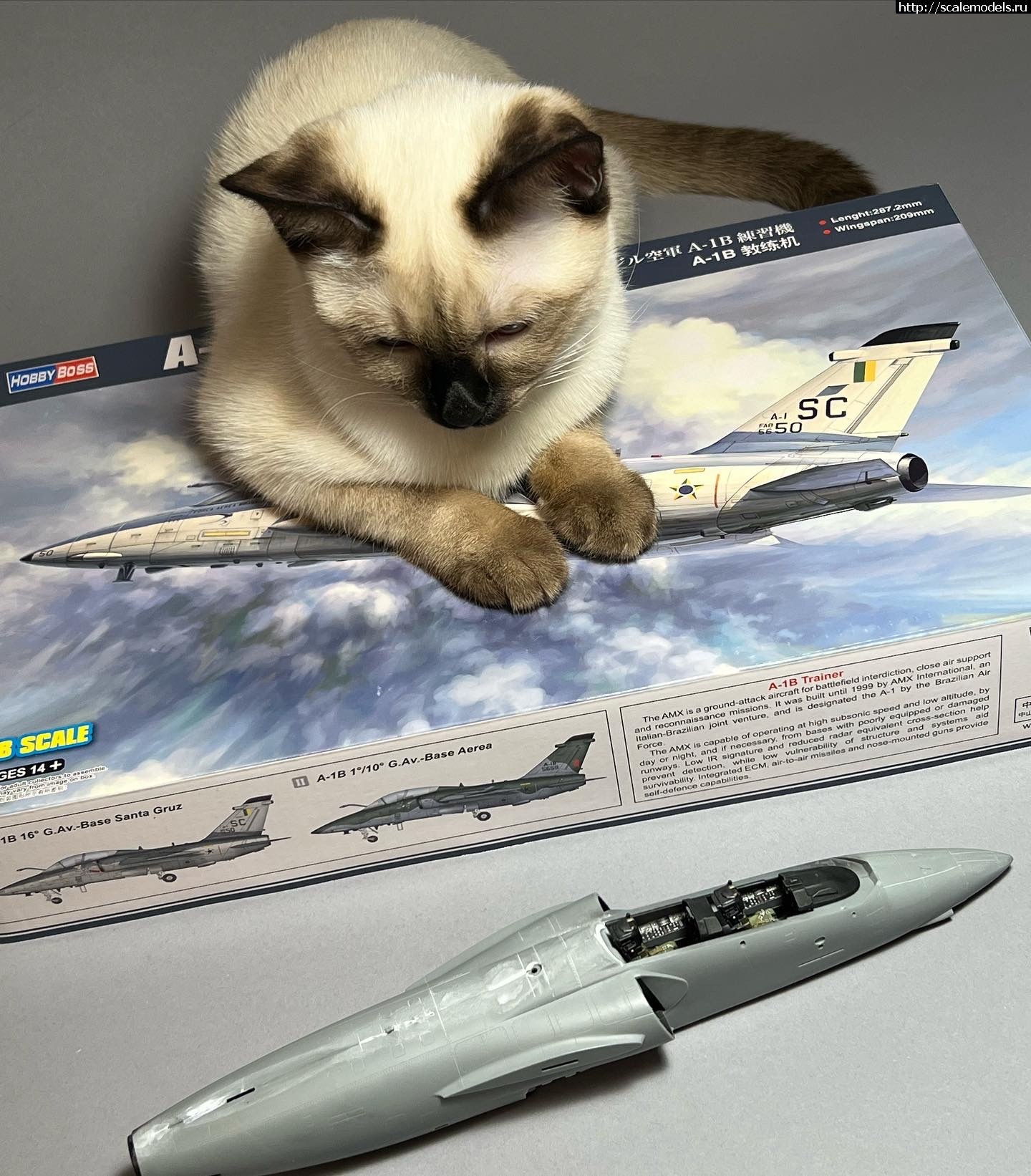 Embraer A-1B Trainer 1/48 Hobby Boss.  