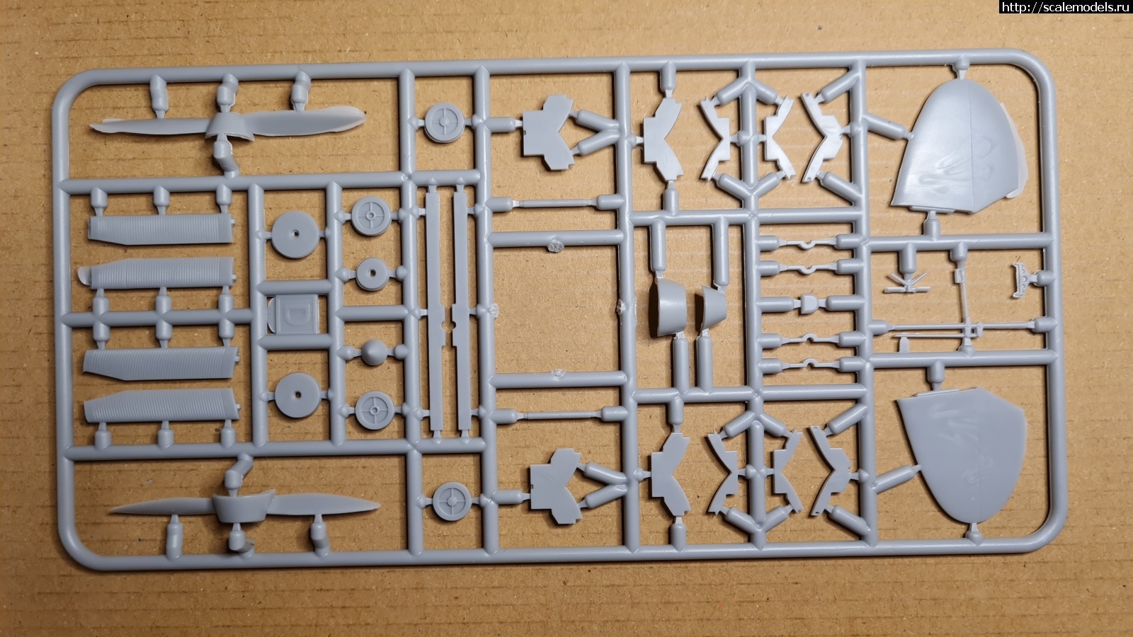 Macchi M.C.72  AMP1/48    