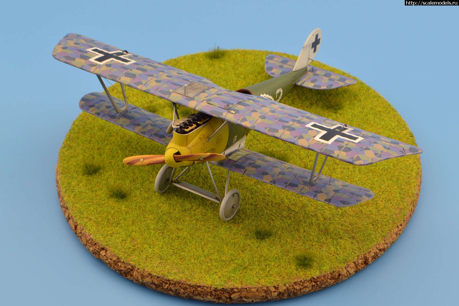 #1743417/ Pfalz DIIIa 1/48 Eduard. .  