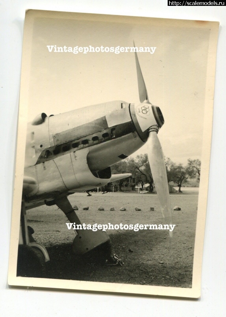 #1743969/ Bf109  Legion Condor 1936-1939.   .  