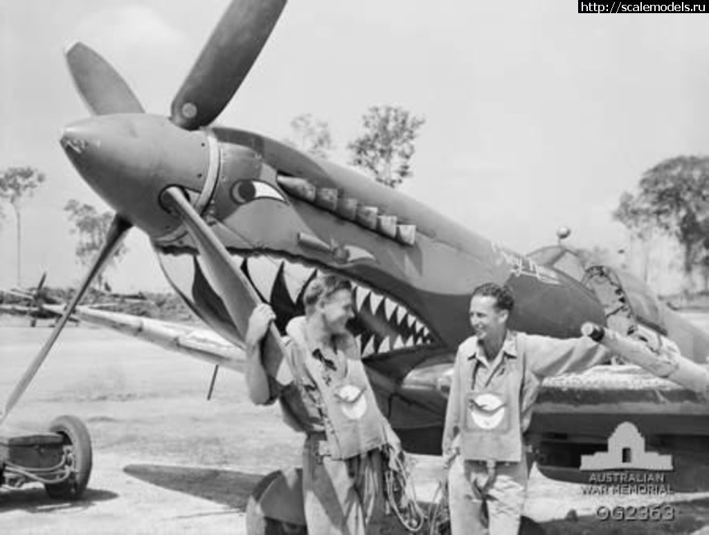 #1744020/ Eduard 1/72 Spitfire Mk VIII  ...(#15740) -   
