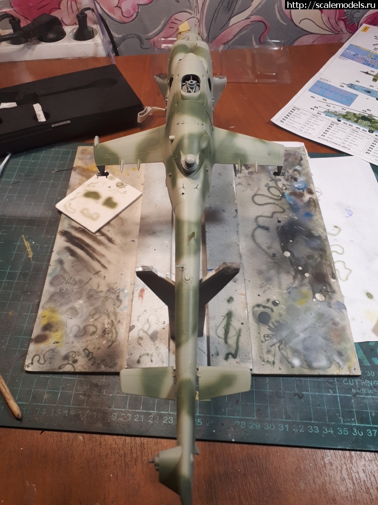 #1747246/ -24 / Zvezda 1/48   