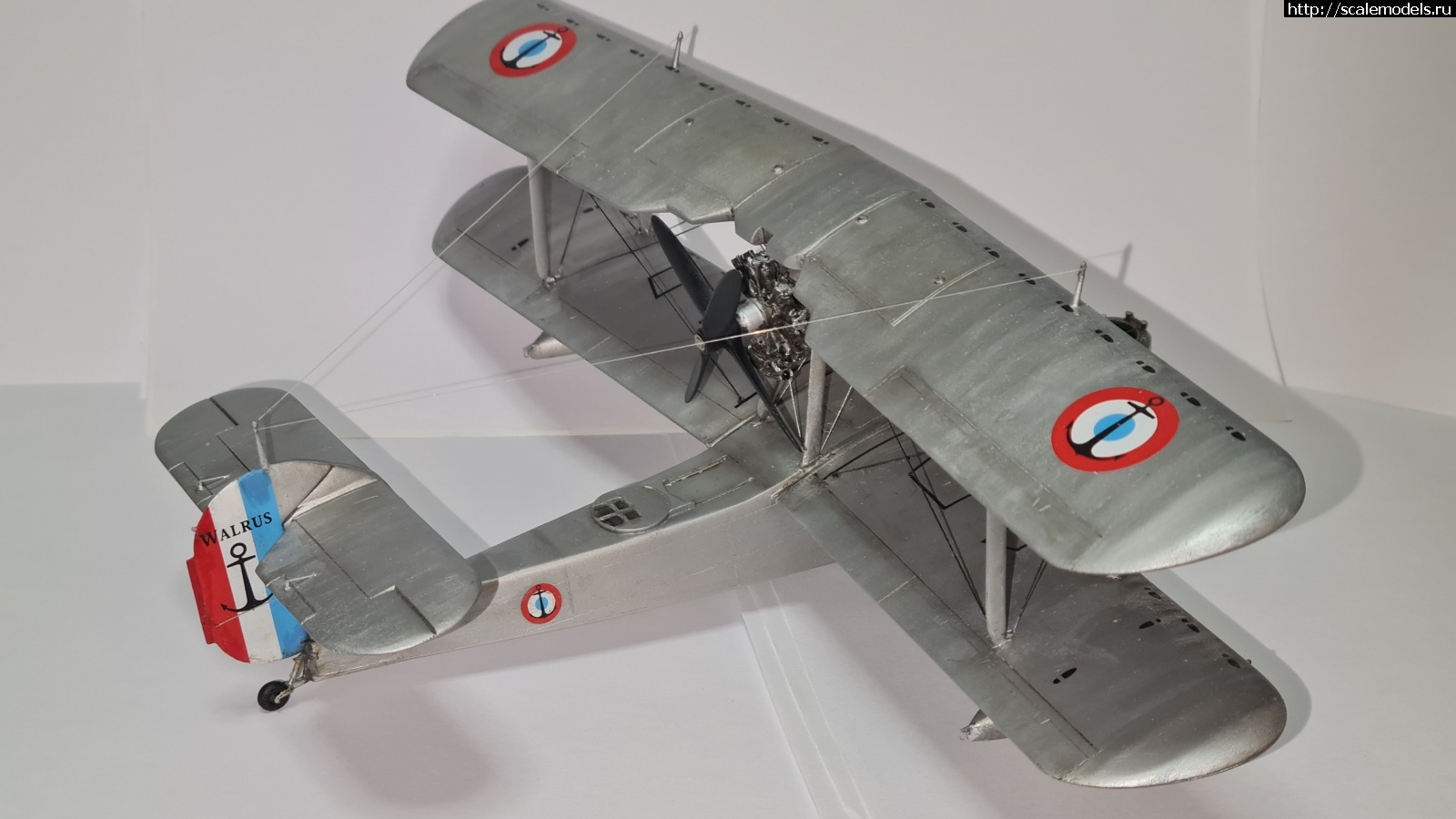 #1755052/ Special hobby Walrus Mk1 1/48    