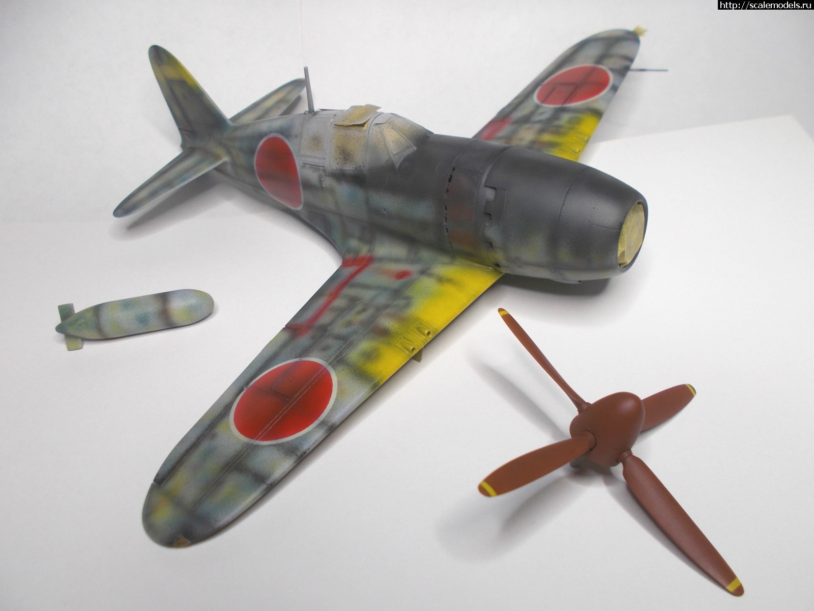 #1762853/ Hasegawa 1/48 J2M3 Raiden   