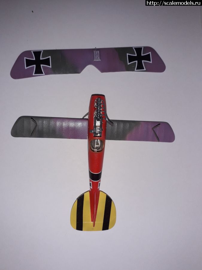 #1767995/ Albatros D.V. Eduard 1:72    