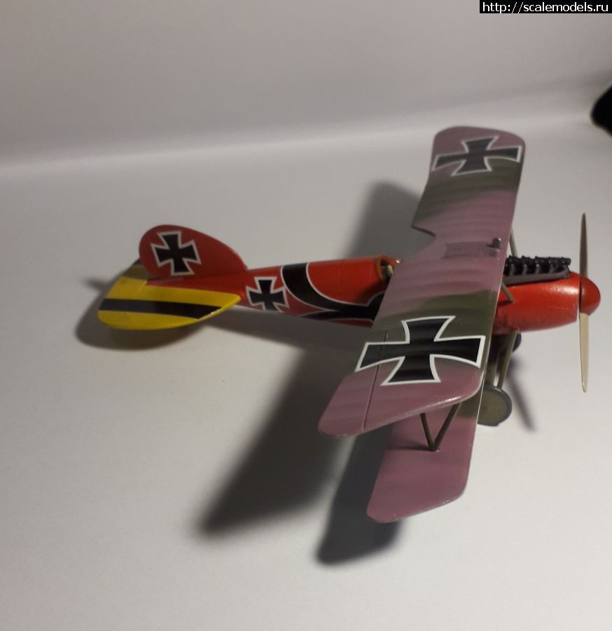 #1768067/ Albatros D.V. Eduard 1:72    