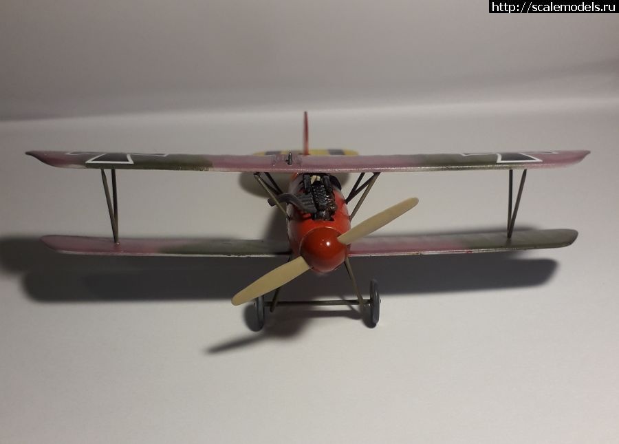 #1768067/ Albatros D.V. Eduard 1:72    