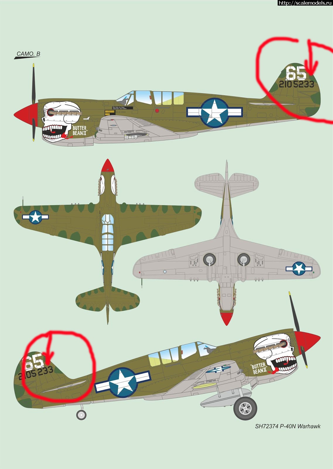 #1770386/ P-40 Warhawk/Tomahawk/Kittyhawk -     