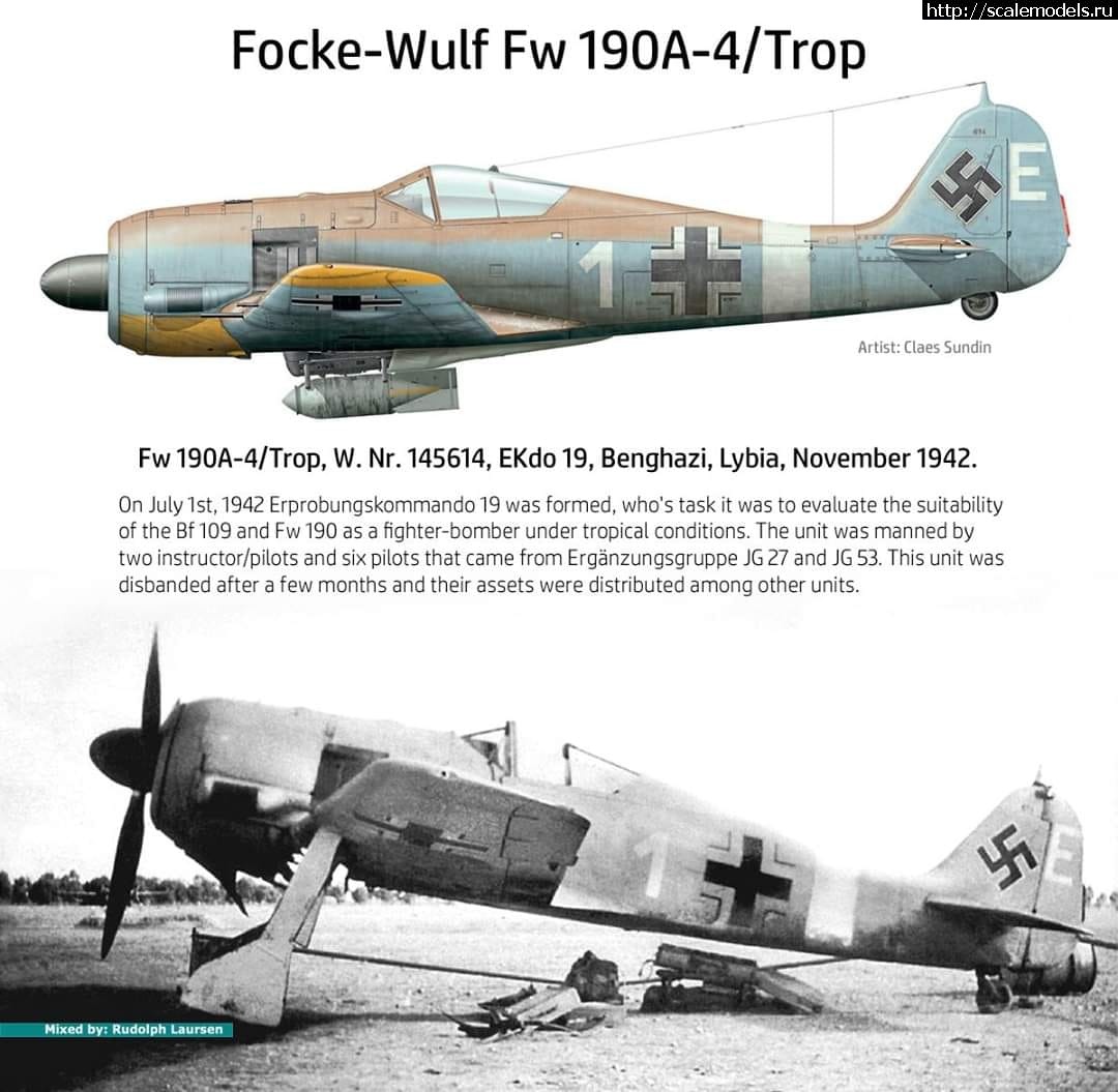 #1772285/ Fw-190A-4/Trop 1/48 Eduard    