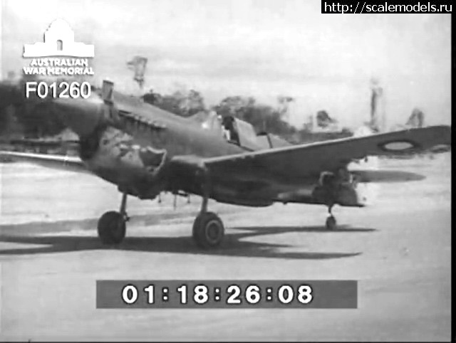 #1791309/ P-40 Warhawk/Tomahawk/Kittyhawk -     