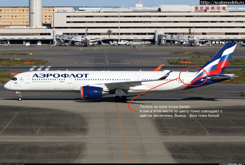 #1794364/  1/144 Boeing 737-800 - Show m...(#16346) -   