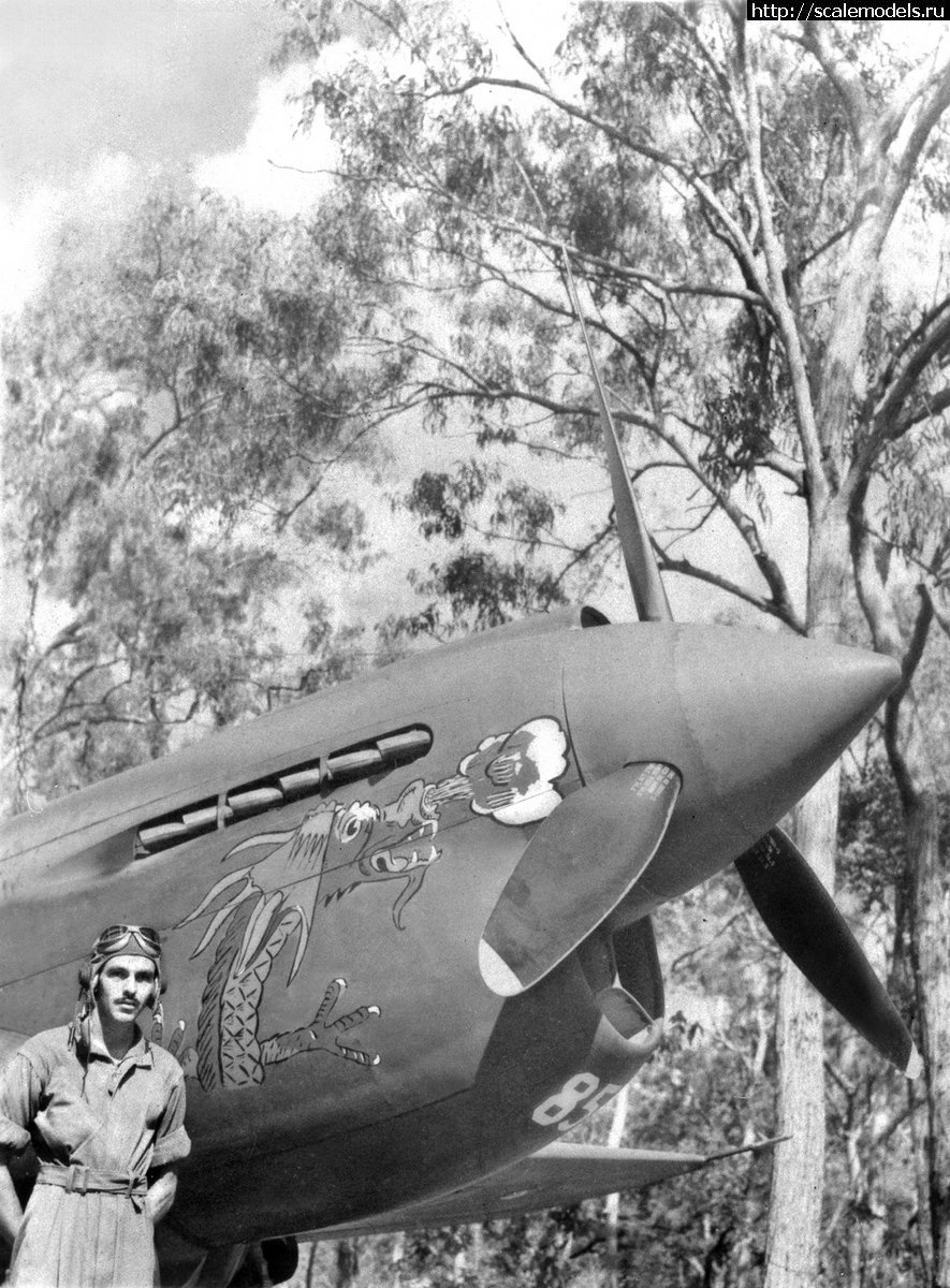 #1797123/ P-40 Warhawk/Tomahawk/Kittyhawk -     