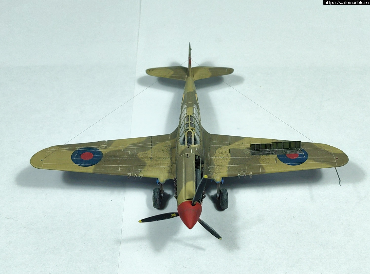 #1800919/ Kittyhawk Mk.Ia 1/72 special hobby   