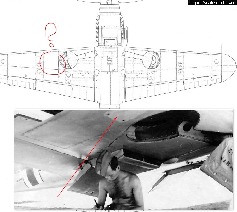 #1801275/  Bf 109 (F)-   .  