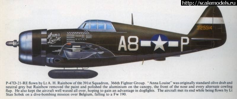 #1823479/ P-47D Thunderbolt -     