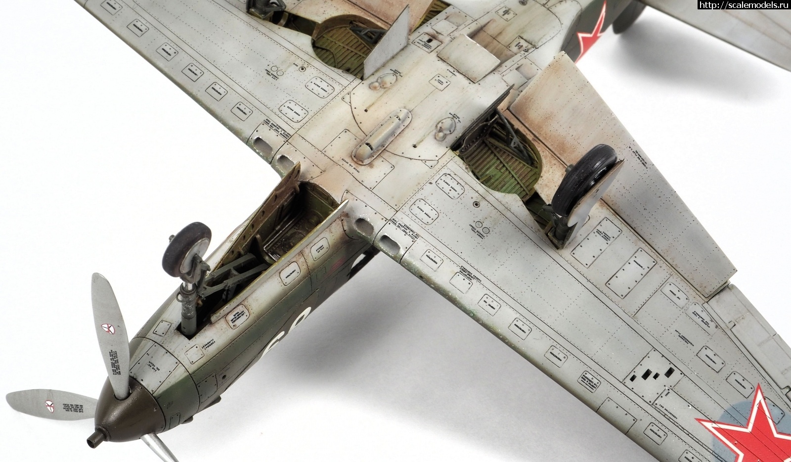 #1825084/ P-39 Eduard 1/48     !  