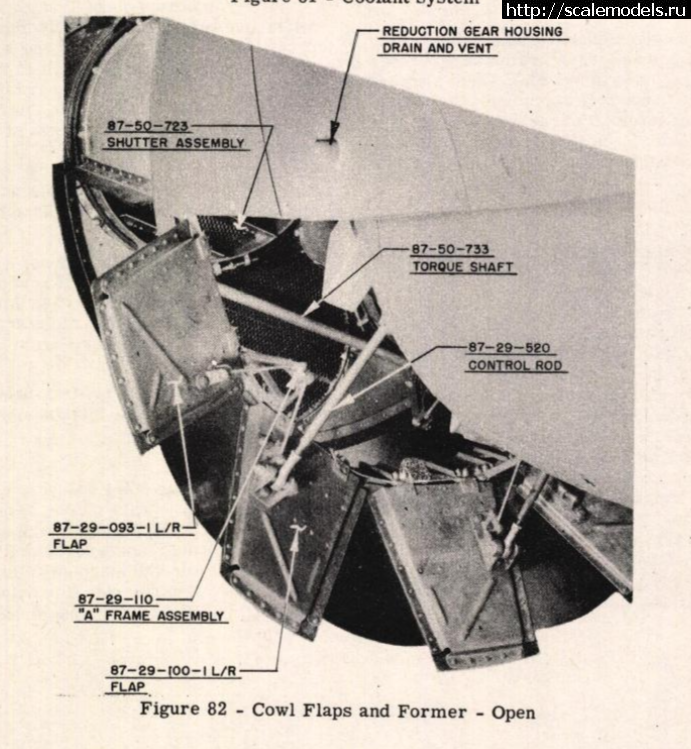 #1825416/ P-40   